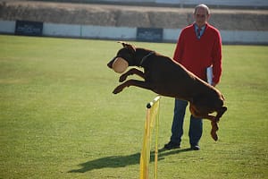 jumping