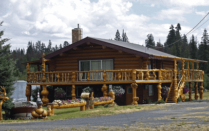 cabin house in the forest